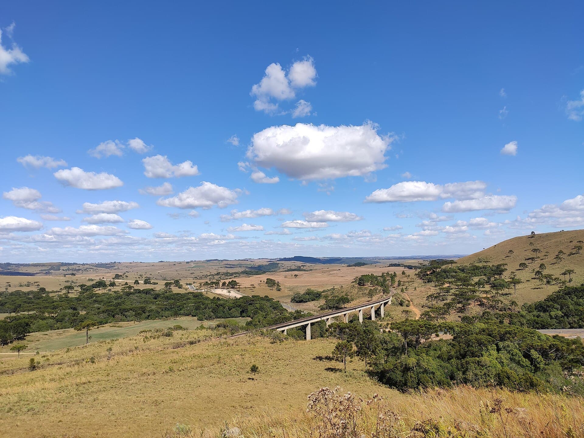 Campos de altitude com araucárias e um viaduto ao fundo, na Coxilha Rica, em Lages, Santa Catarina