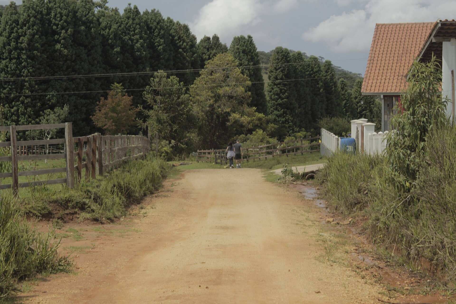 Estrada de terra entre cercas de madeira e mata de pinheiros, com duas pessoas caminhando ao longe, em Delfim Moreira, Minas Gerais