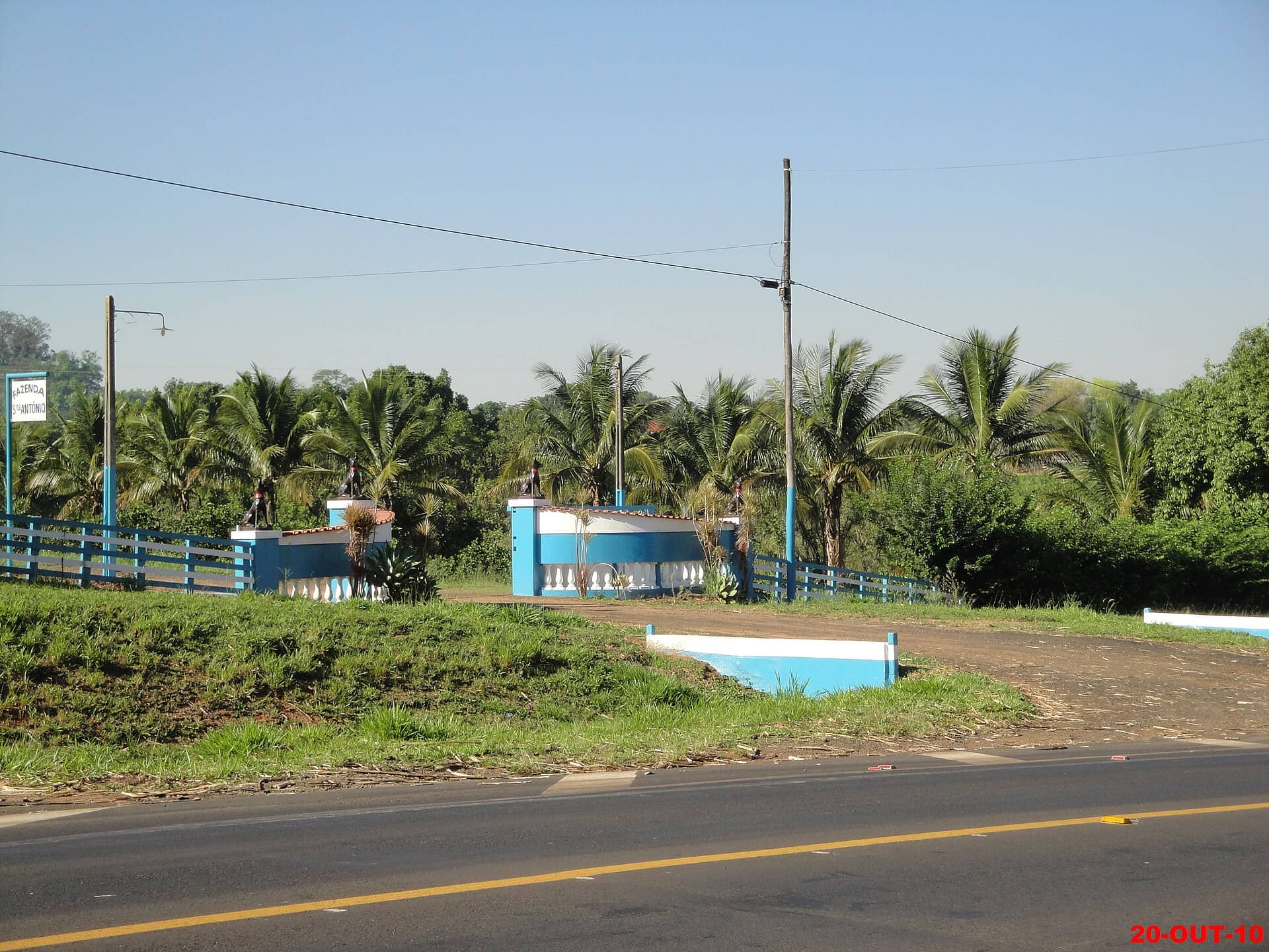 Portão de fazenda azul e branco com esculturas de cachorros nos pilares, entre palmeiras, à beira de uma rodovia