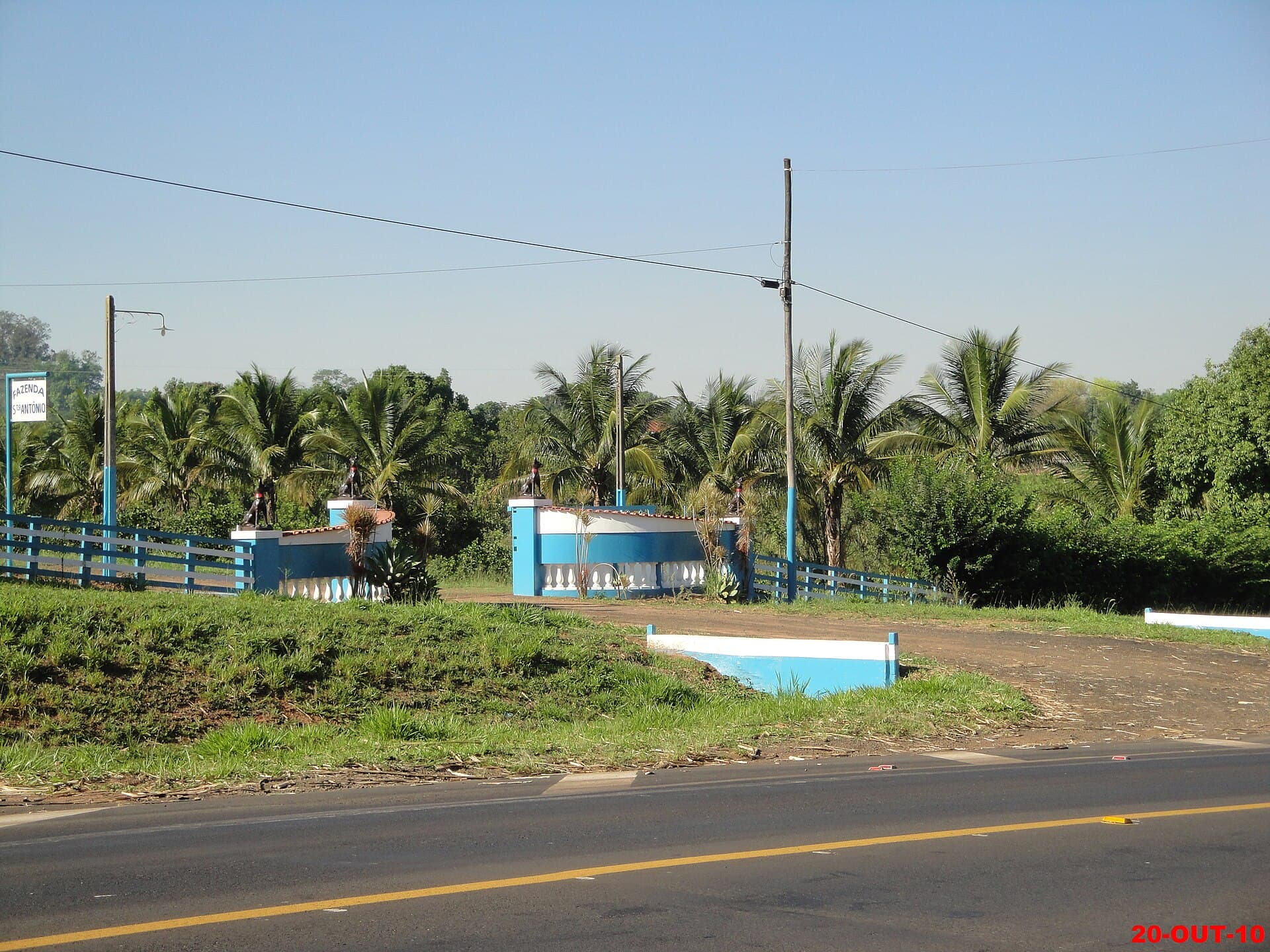 Portão de fazenda azul e branco com esculturas de cachorros nos pilares, entre palmeiras, à beira de uma rodovia
