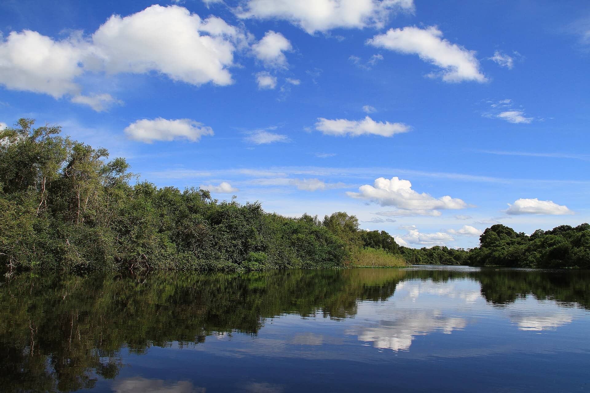 Rio calmo com margens de vegetação densa e nuvens refletidas na água, no Pantanal de Mato Grosso